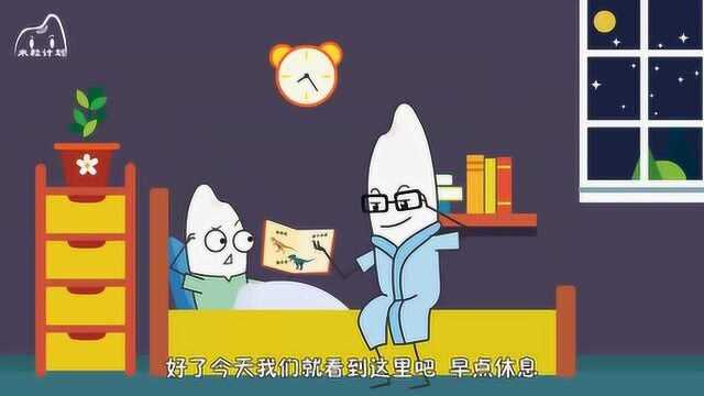 南十字龙是用星座命名的,它和南十字星座到底有什么关系呢?