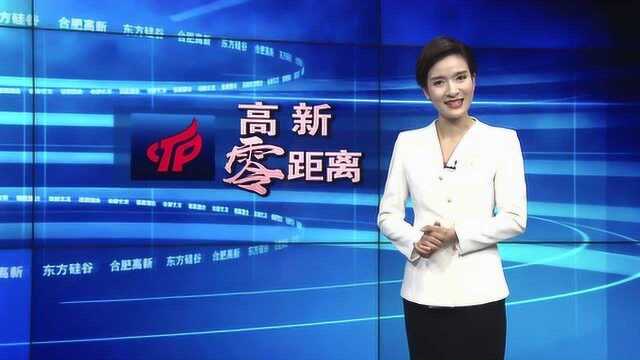 东方硅谷 合肥高新1220