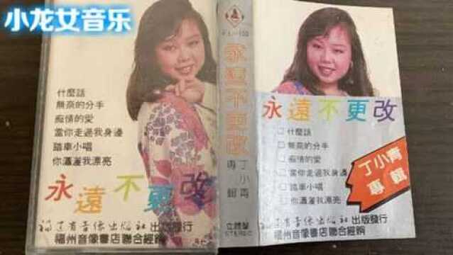 《永远不更改》丁小青精选专辑 听过的都老了