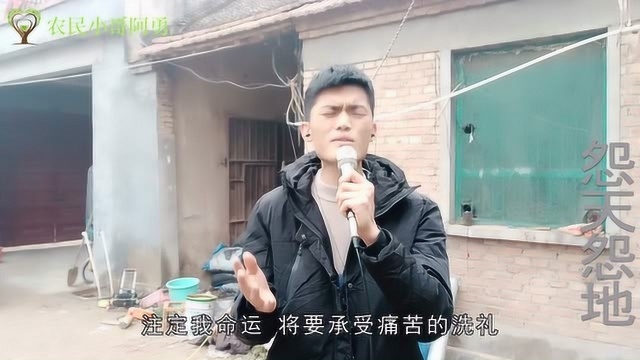 一首伤感歌曲《怨天怨地》,100人听99人哭,伤感至极