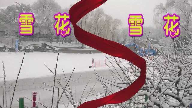 一首《雪花》,带上我给您的祝福