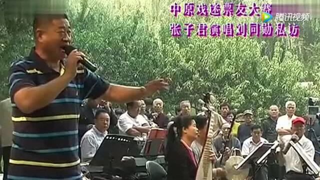 豫剧选段《刘同勋私访》张子君演唱!