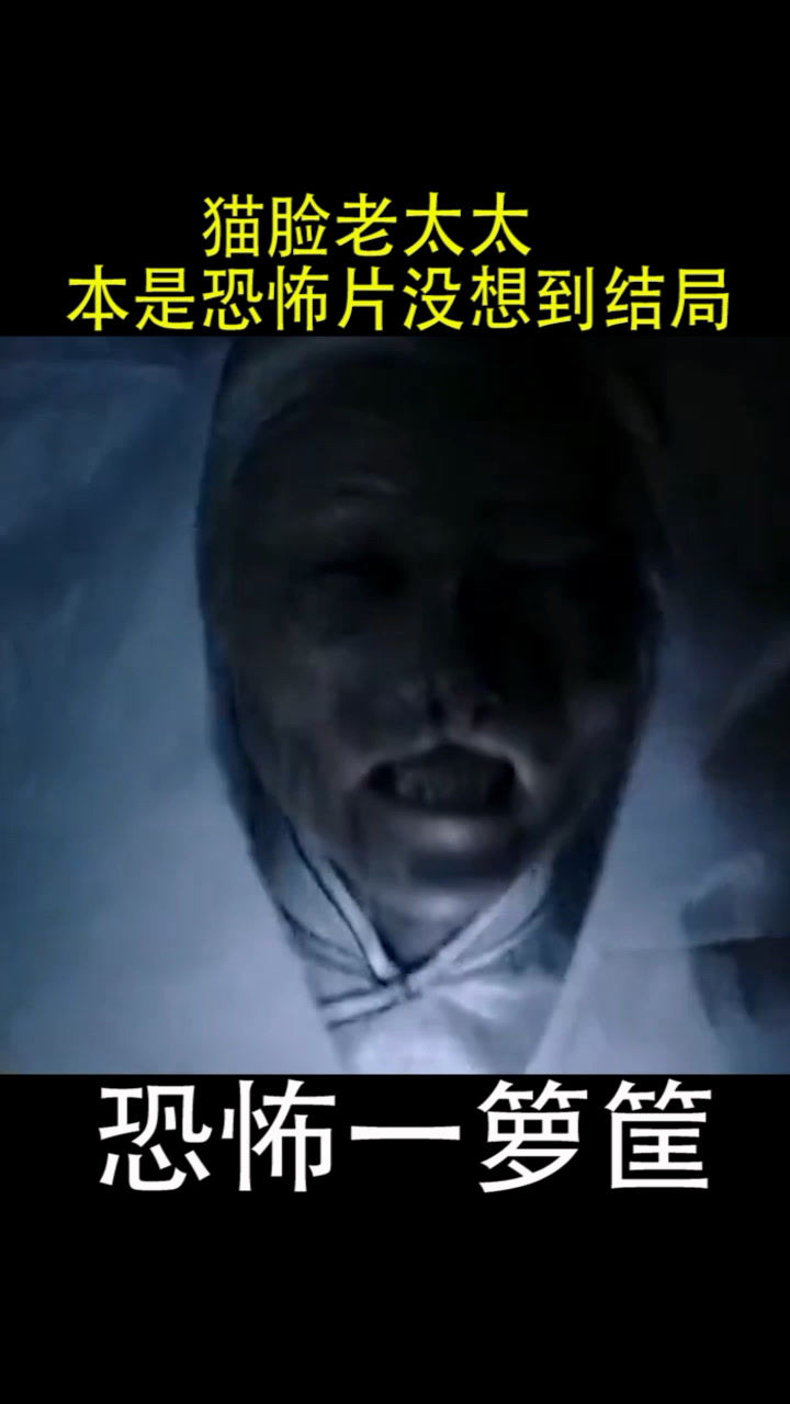 猫脸老太太,本是恐怖片,没想到是这个结局