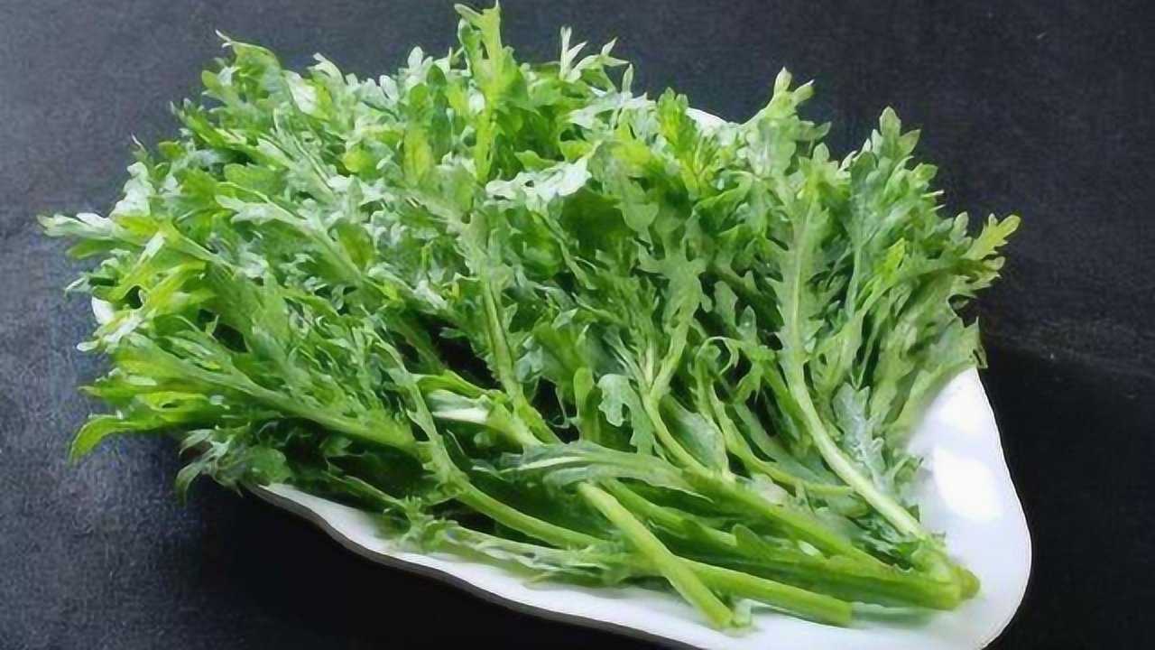 冬天吃一把皇帝菜养血降脂调血压还能预防老年痴呆