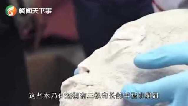 秘鲁发现三根手指生物,已存在1700年,科学家:它不属于地球