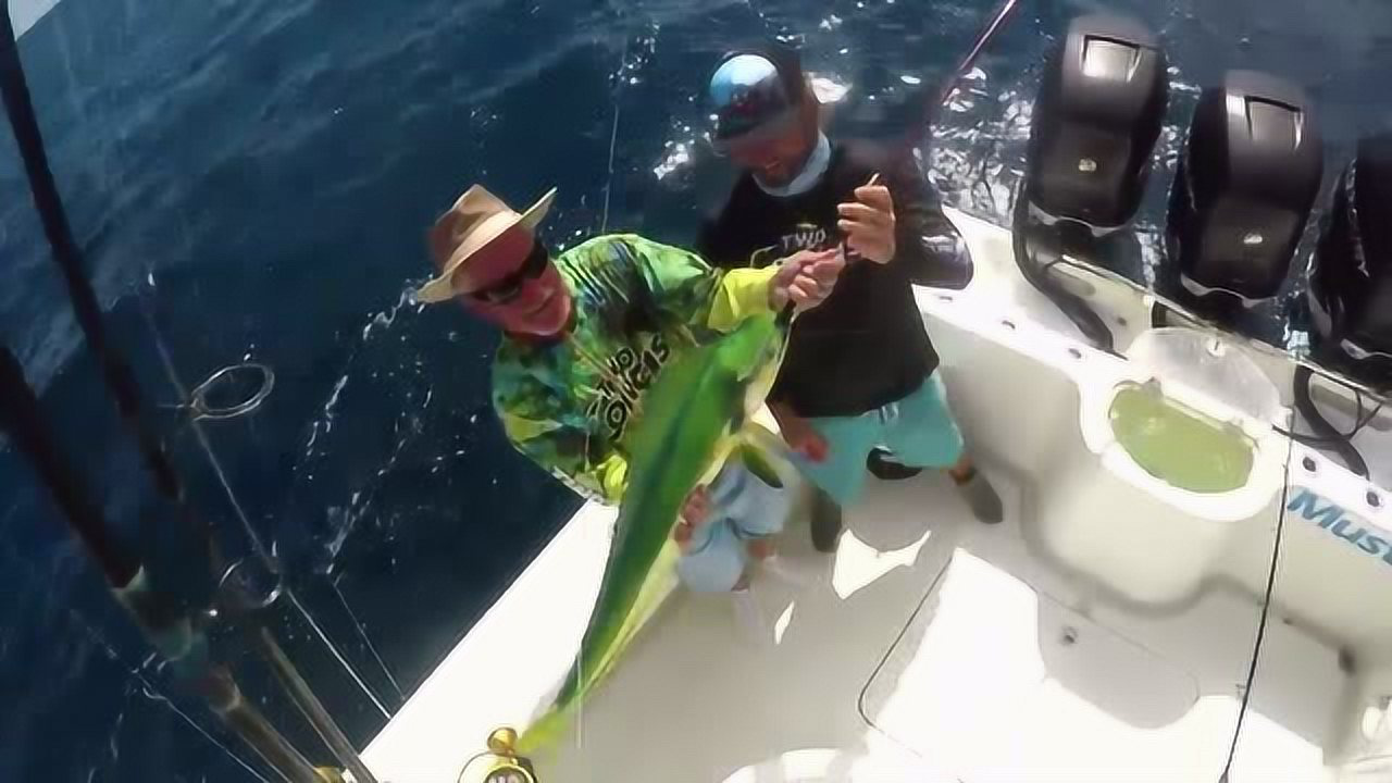 vickystark佛罗里达鬼头刀