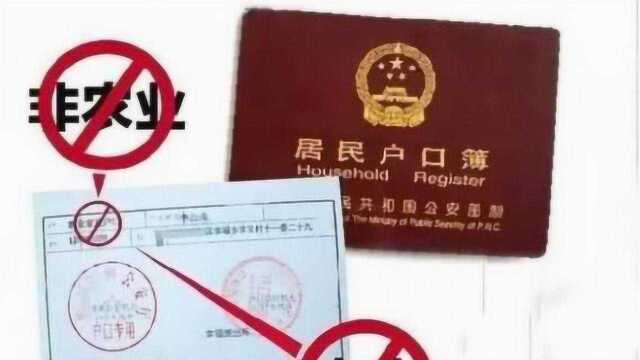 农转非户口属于城镇还是农村?你了解吗?知情人士给出了答案