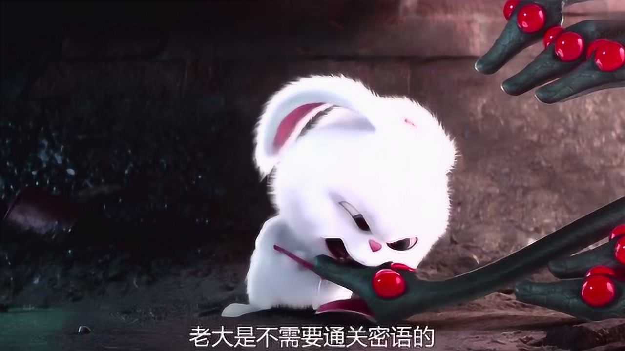 电影爱宠大机密特别喜欢这只兔子又萌又狂暴哈哈