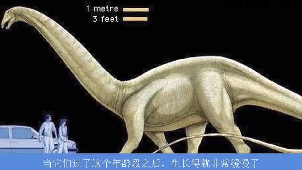 巨大的侏罗纪食草恐龙迷惑龙为什么又叫雷龙?