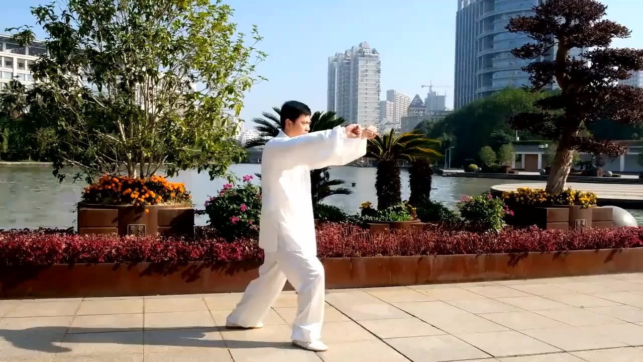传统杨氏太极拳85式慢练(王其华演练)