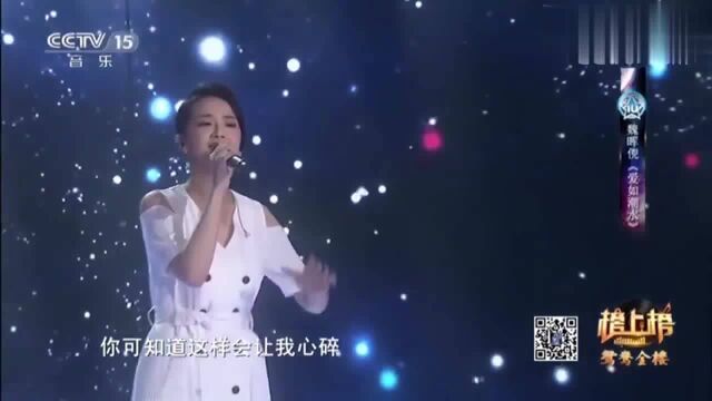 魏晖倪动情演唱《爱如潮水》,女生版本,不一样的感觉一样的味道