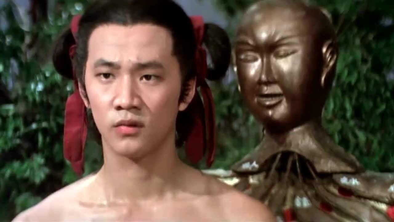 咏春教儿子鹤形拳儿子结合洪熙官的虎形拳练成虎鹤双形