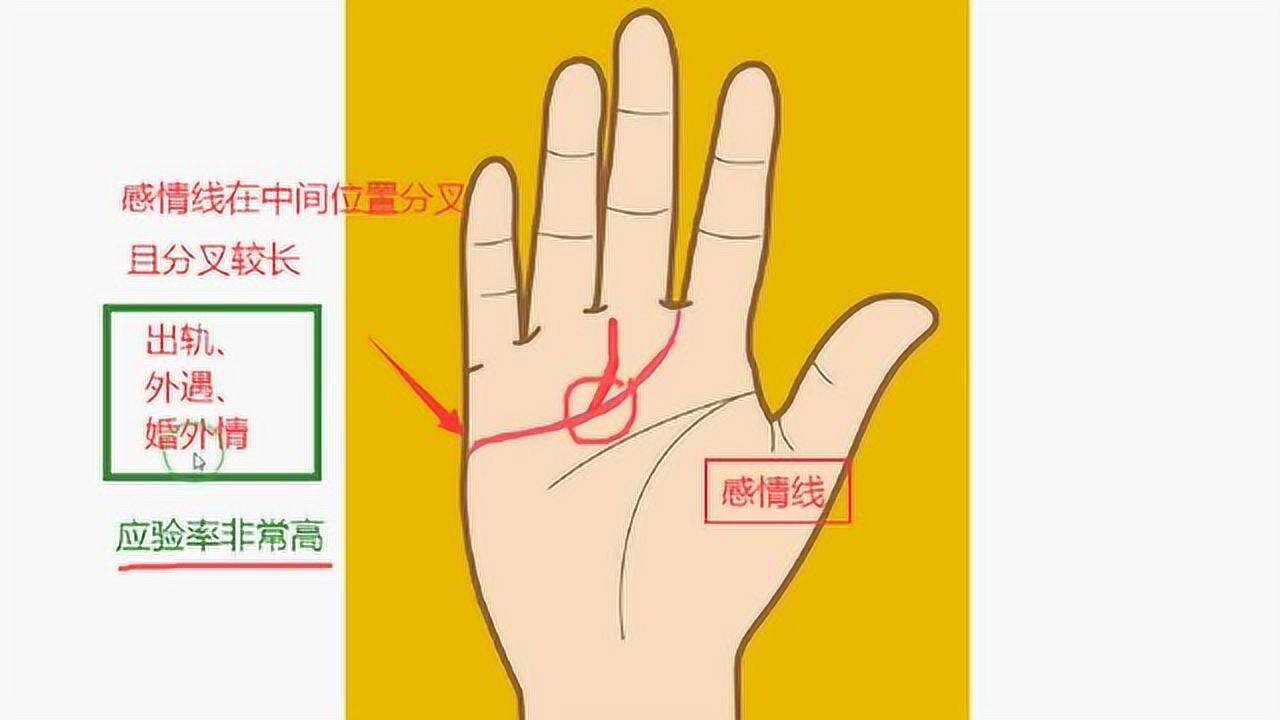 手相问答如果你或对象的感情线分叉是不是容易出轨外遇答案是肯定的
