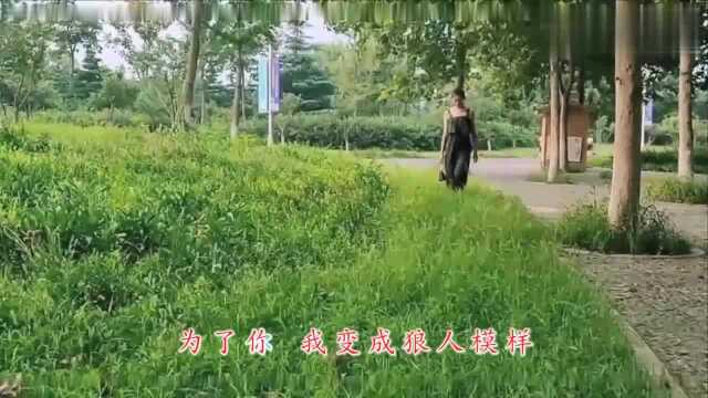 经典音乐,一首《求佛》催人落泪,歌词走心