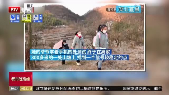 湖北宜昌:爷爷寻信号找遍大山 给孙女搭了间网课帐篷