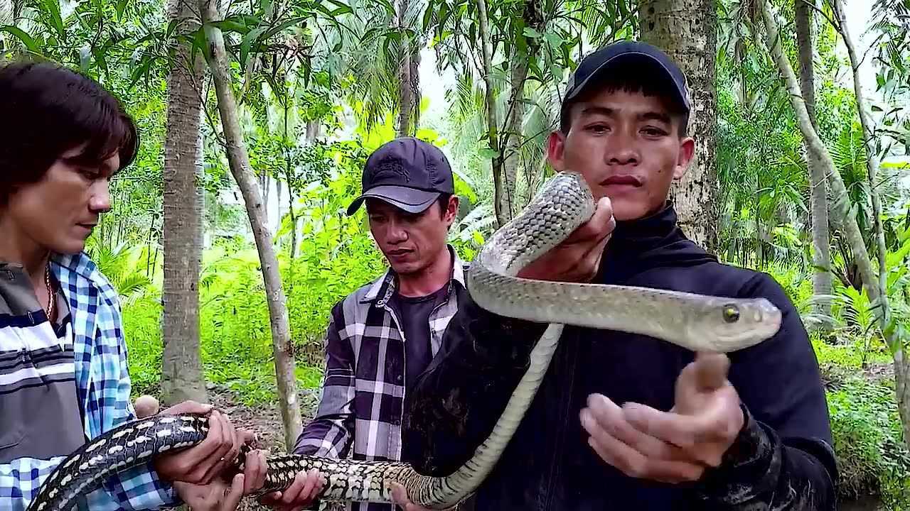 蛇鼠一窝洞朝天图片