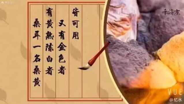 𐟓–古医书《本草图经》云: 桑耳一名桑黄,有黄熟陈白者,又有金色者,皆可用.