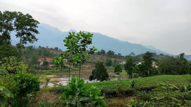 实拍越南农村大山里的风景,原始的美