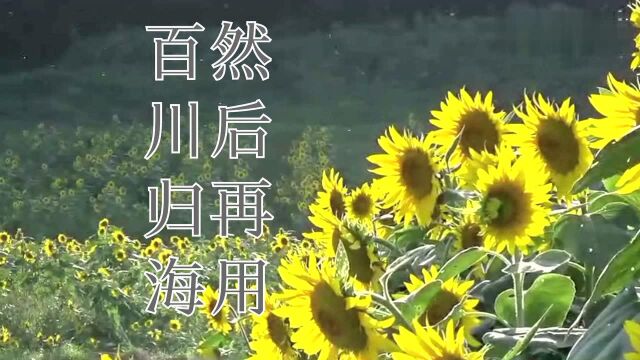 微课堂小学必背诗词129首之《长歌行》