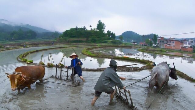 想在农村耕地上搞建设?有1种情况不用层层审批,只需跟村委协商