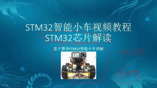 手把手教你学STM32视频教程 10 STM32芯片解读