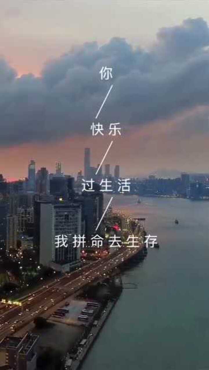 你快乐过生活 我拼命去生存