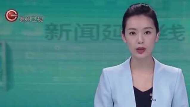 望谟:发挥气候优势,发展特色产业,攻克贫困最后“堡垒”