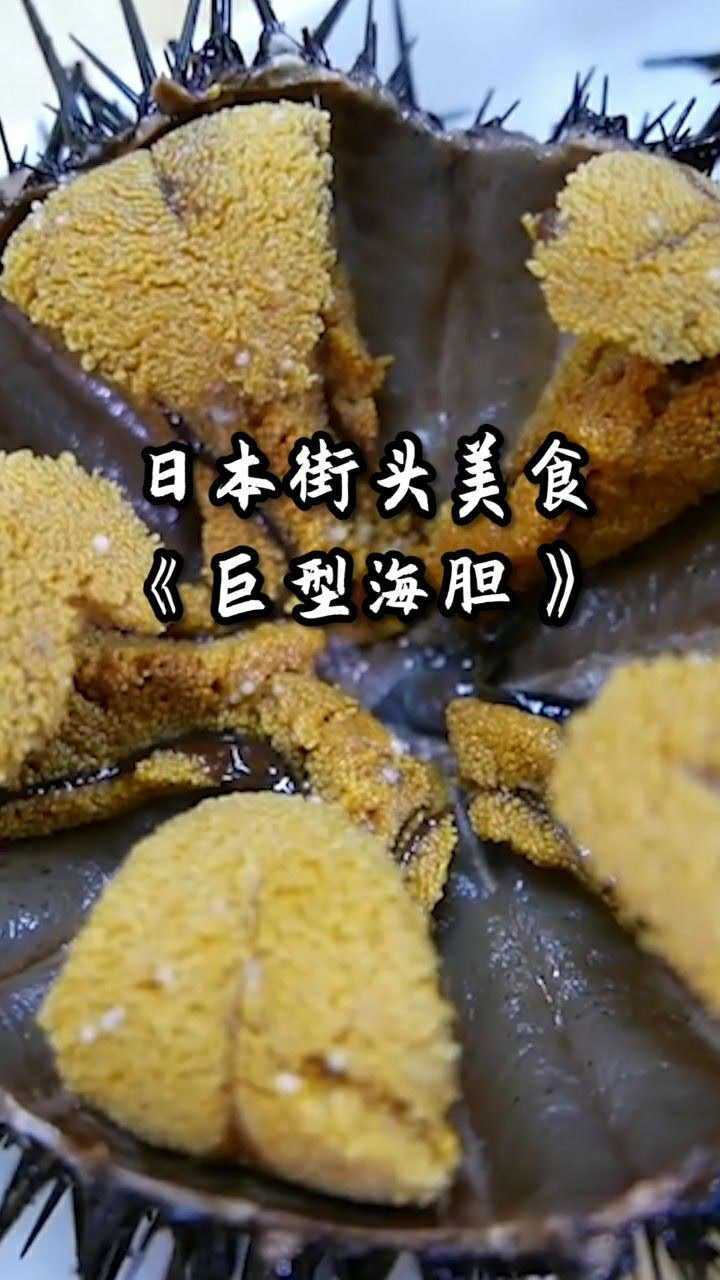 海胆怎么吃生吃图片