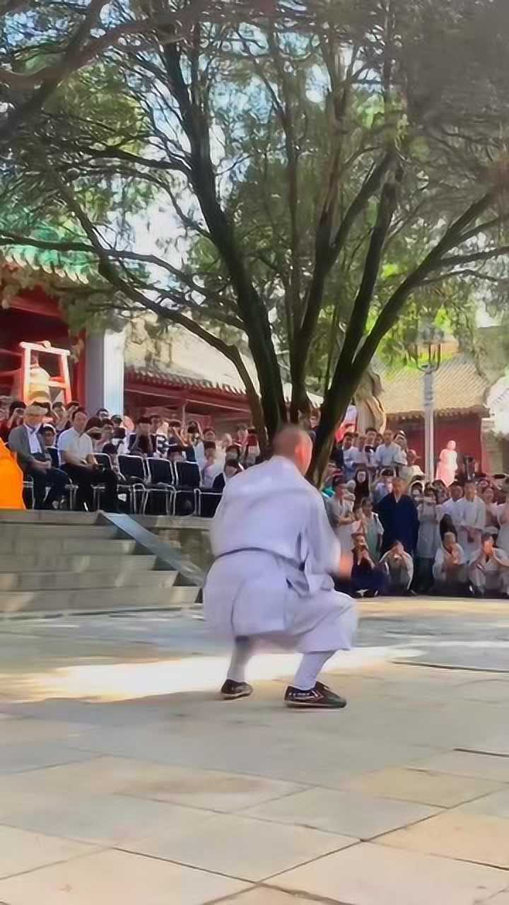 少林蝎子拳,刚猛飘逸,少林武功果然名不虚传