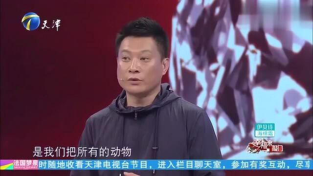 超可爱羊驼空降舞台,表演秀萌翻全场,这动物训练师太厉害了!