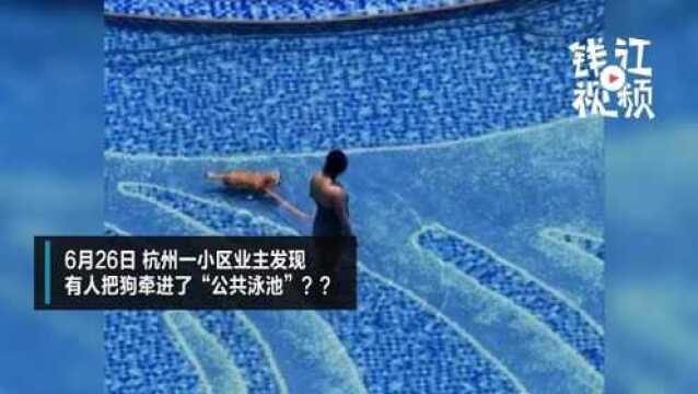 租客带狗进小区泳池