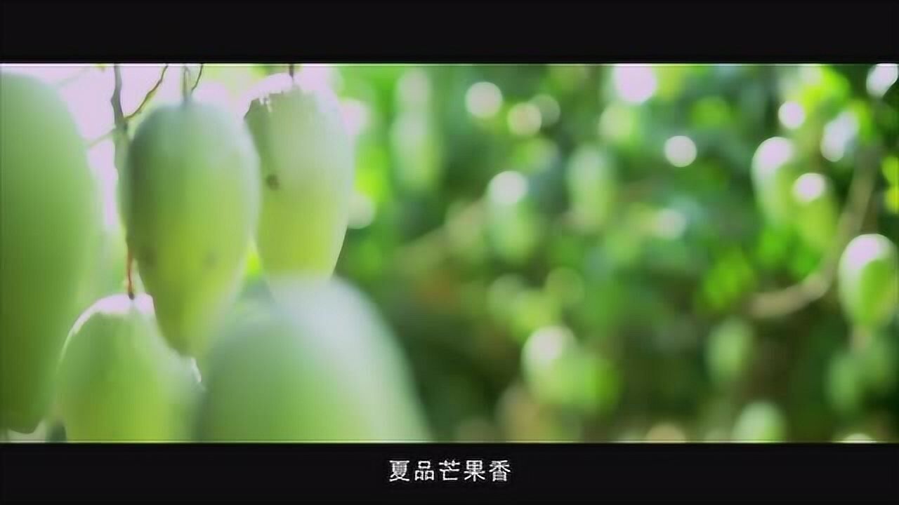 山海黎乡纯美昌江|海南爱心助农行腾讯视频