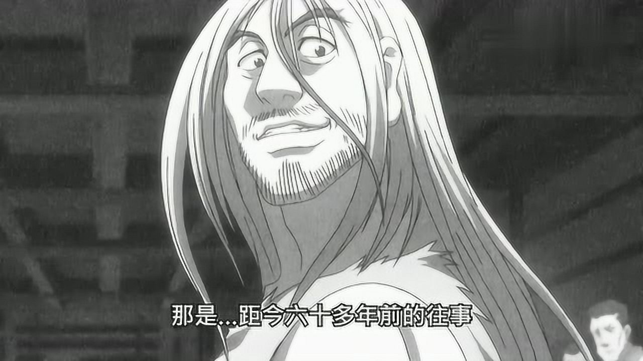 全职猎人尼特罗会长的巅峰时期拳速已经超过了音速宛如观音