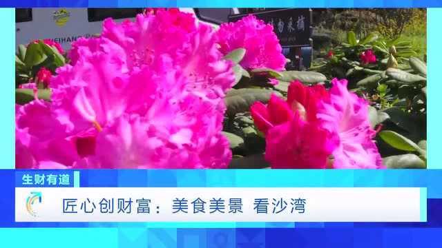 不圈养、不喂饲料!放养大鹅+川味调料 “然鹅”,不仅仅是鲜美→