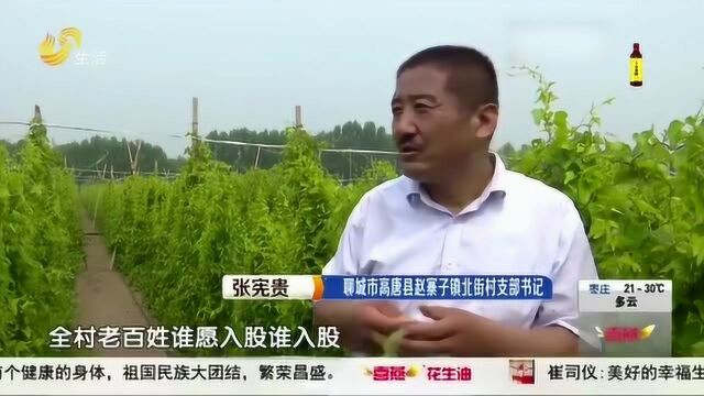 聊城:村支书身残志坚 发展壮大蔬菜种植合作社 带领群众增收致富