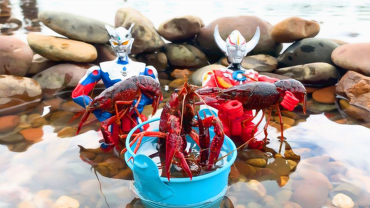 欧布和赛罗奥特曼去池塘抓小龙虾,欧布居然打不过小龙虾