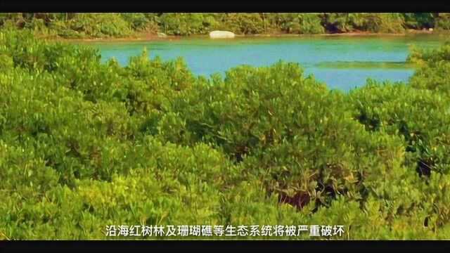 地球温度提高,会对人类造成多大影响,你知道吗?