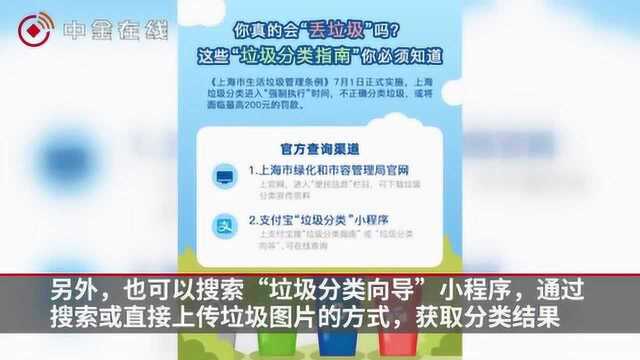 支付宝上线垃圾分类小程序,年底将覆盖上海全部中心城区