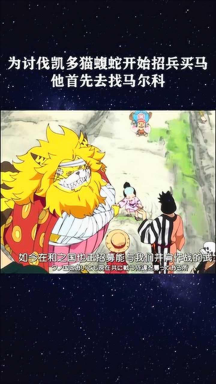 为讨伐凯多猫蝮蛇开始招兵买马他首先去找马尔科