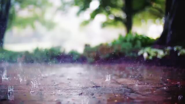 久违的大自然的下雨声,治疗失眠的深度催眠轻音乐