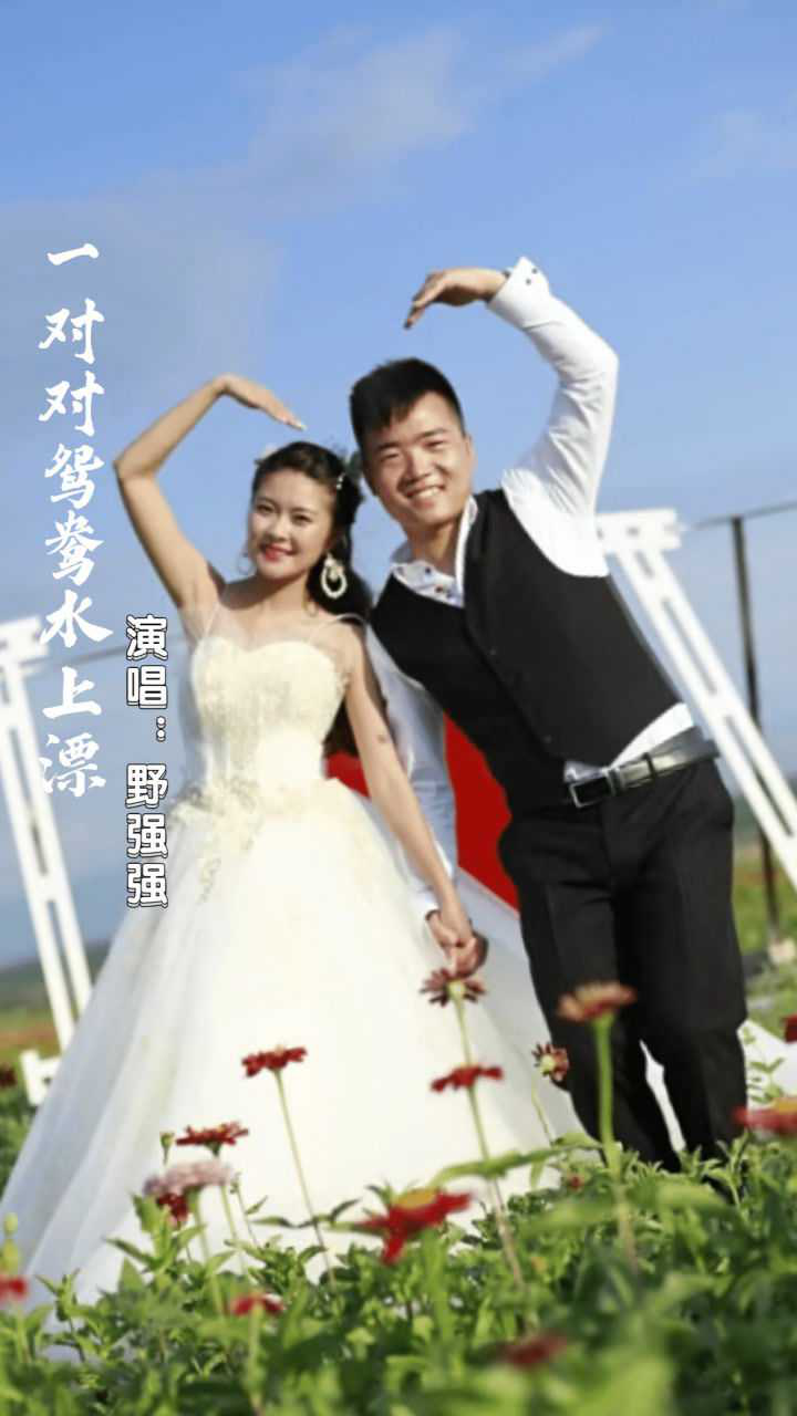 一对对鸳鸯水上漂野强强