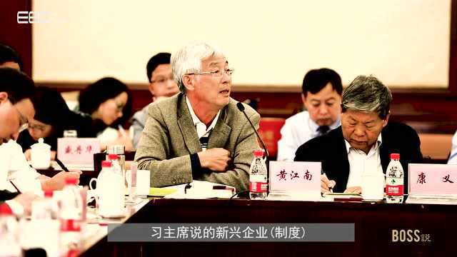 国企改革的莫干山34年轨迹图二,黄江南:国家资本如何进入新经济