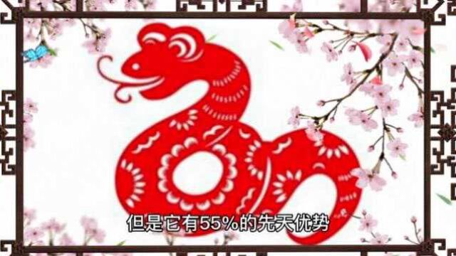 生肖蛇8月运势,符合这一条件最好,易云道说属蛇的暗榜