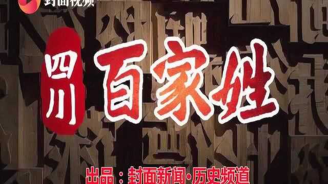 视频谈姓ⷨ⁥瓨25)|陈郡袁氏⑧:超级赌神袁耽