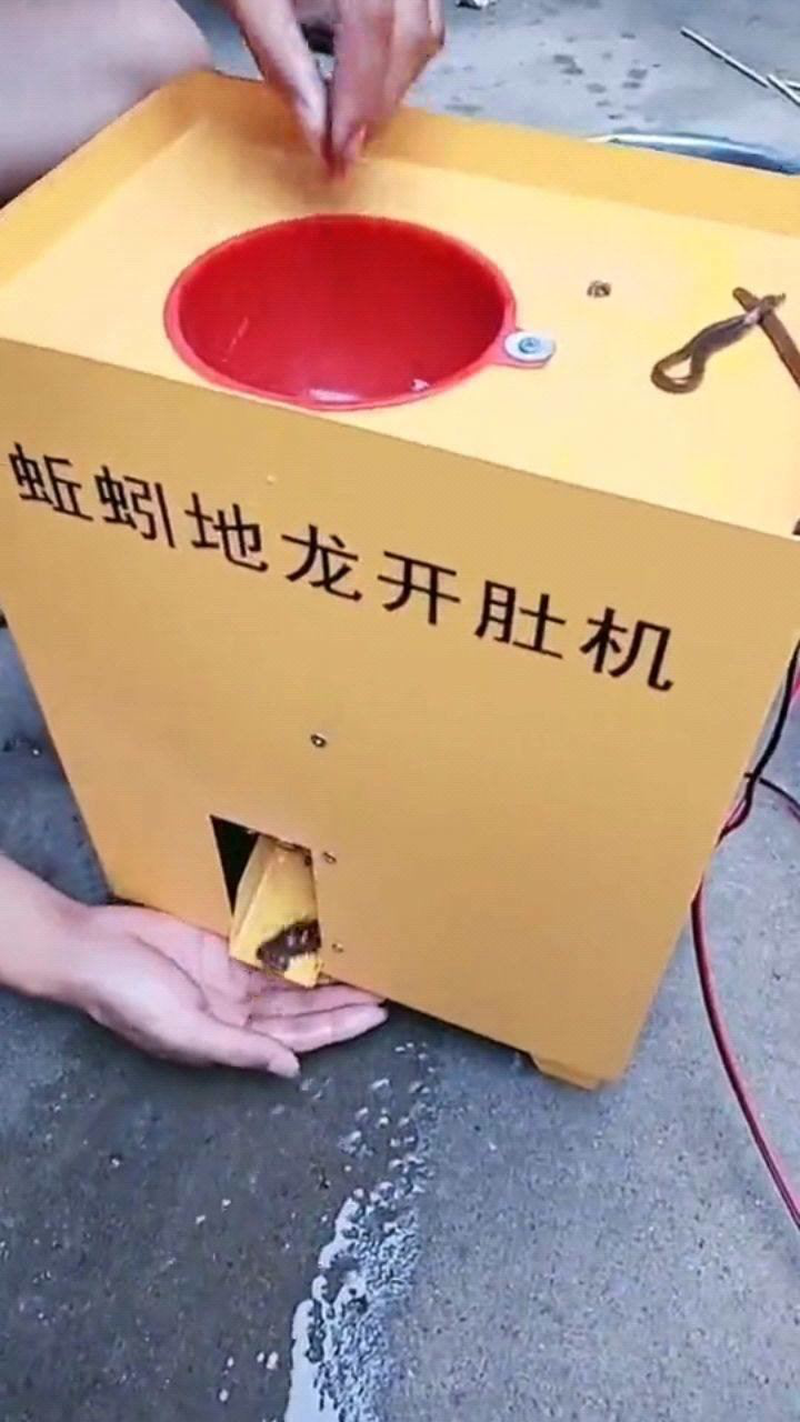 双刀模开肚机就是牛,连蚯蚓都能切两半,涨见识了!