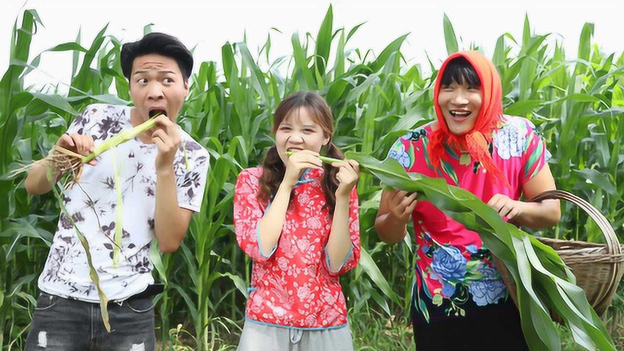 短剧来福和甜甜一起拔玉米杆没想来福摔了个屁股蹲太逗了