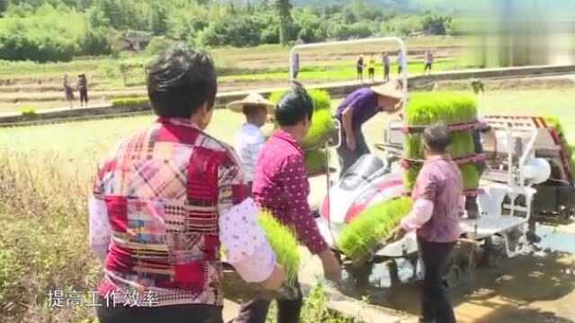 雁石镇实施优质新品种水稻全程机械化示范项目