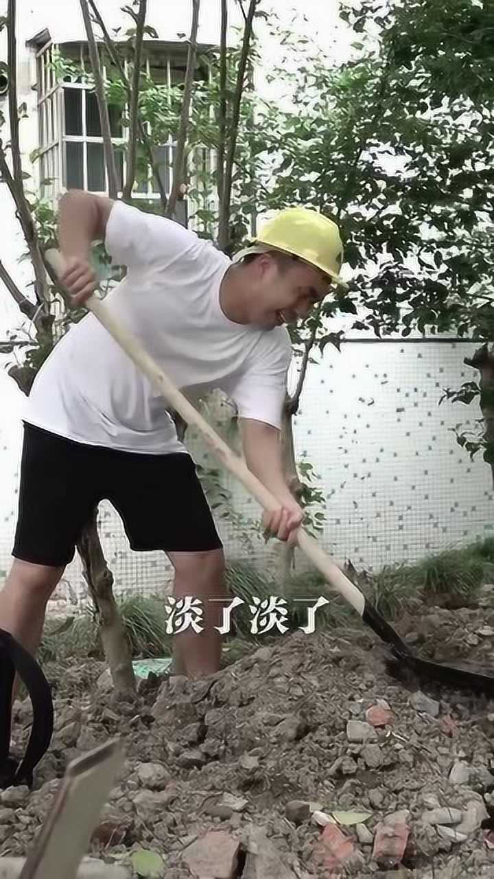 感情淡了挖坑埋了图片图片