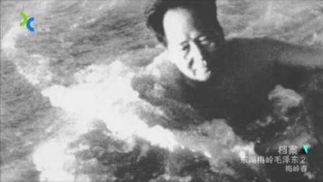 1956年,主席视察武汉长江大桥建设,而他的方式却令人惊讶!