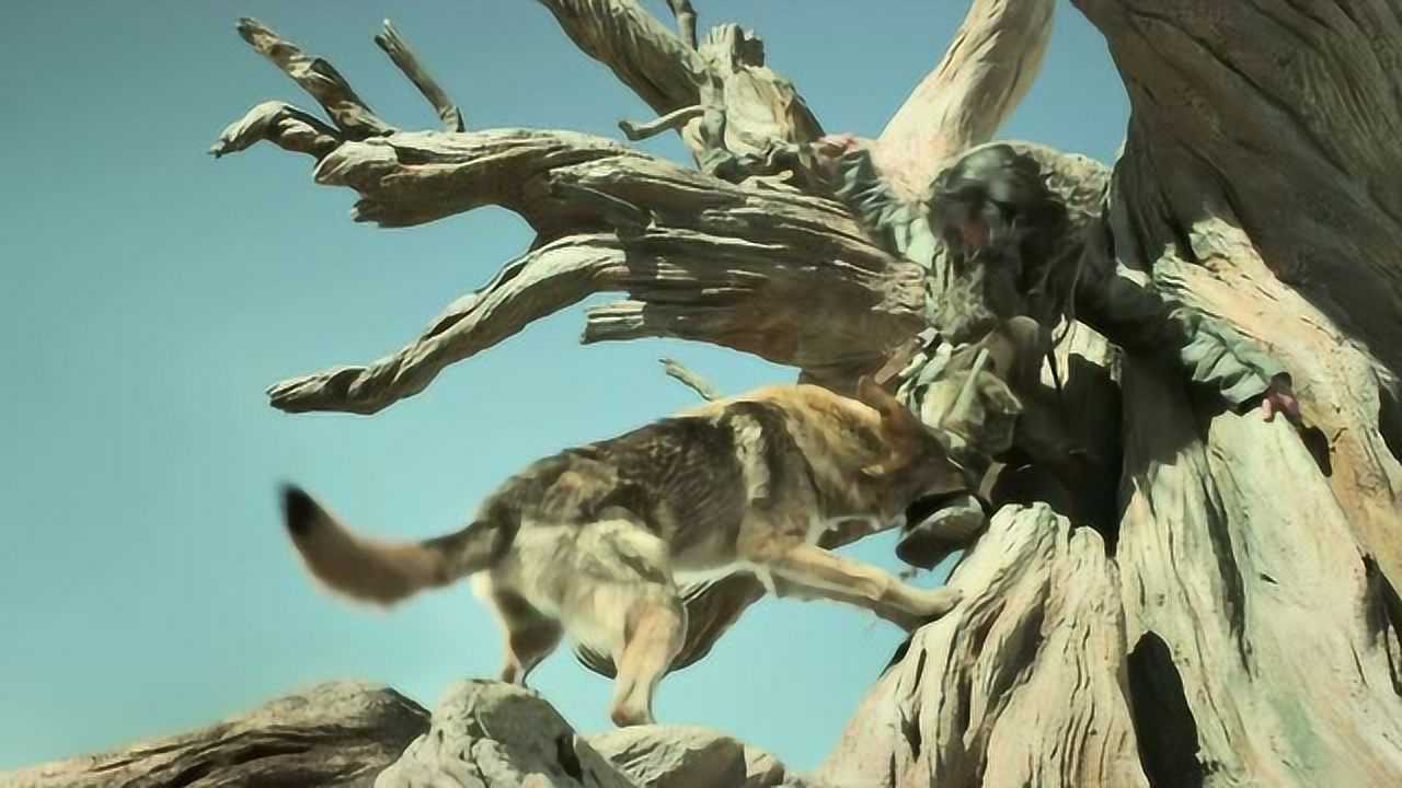 狼为了报恩一直保护他丽妹讲电影08:10世界末日父子俩沦为猎物艰难